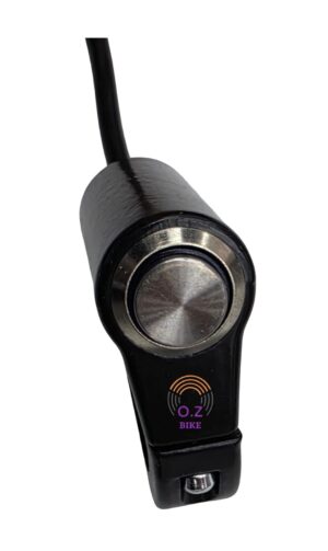 לחצן כפתור לסורון